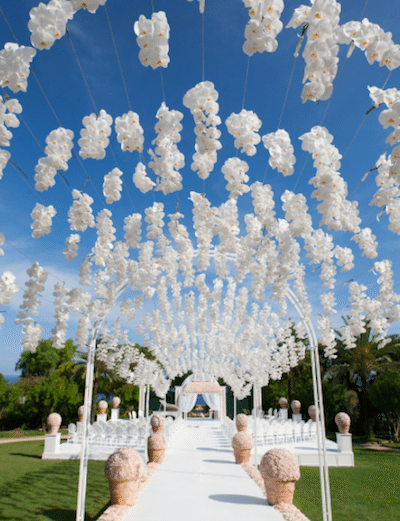 White orchids float above this wedding Image provided by Robert Evans Studios