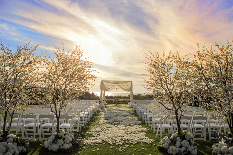 Designing With Trees for weddings - WeddingCompass.com